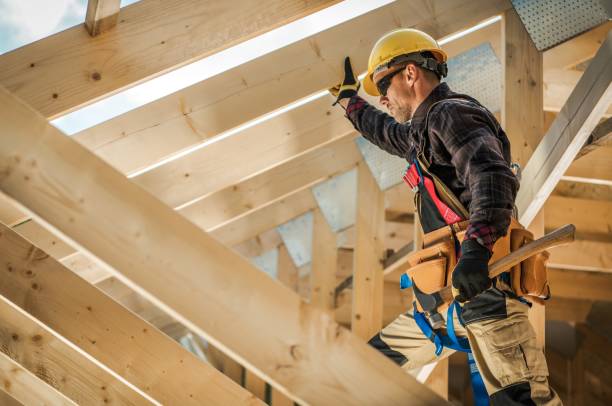 Best Roof Gutter Cleaning  in Hodgkins, IL