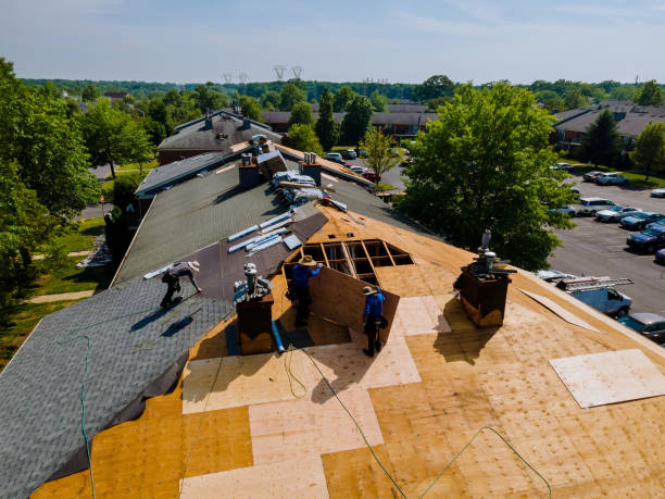 Quick and Trustworthy Emergency Roof Repair Services in Hodgkins, IL