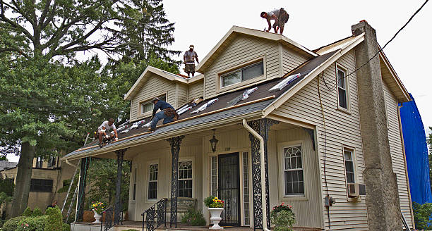 Best Flat Roof Repair Services  in Hodgkins, IL